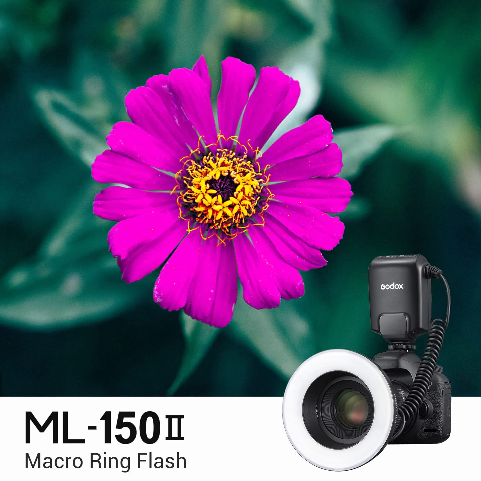 GODOX Macro Flash Annulaire ML-150 II