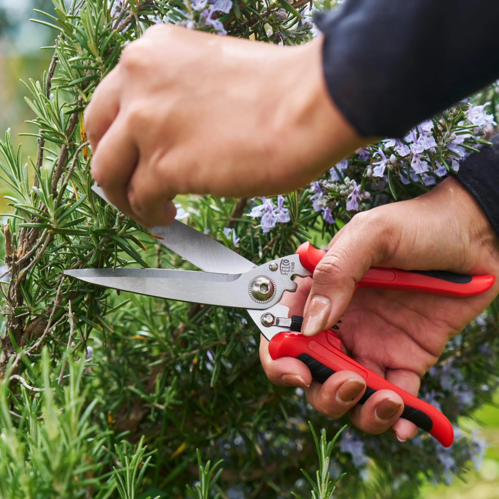 FELCO 456 Forbici Multiuso, Lame Curve in Acciaio Inossidabile, Lama Seghettata per Presa Sicura, Strumento da Taglio Multiuso per Giardino e Casa, Forbici di Precisione Premium