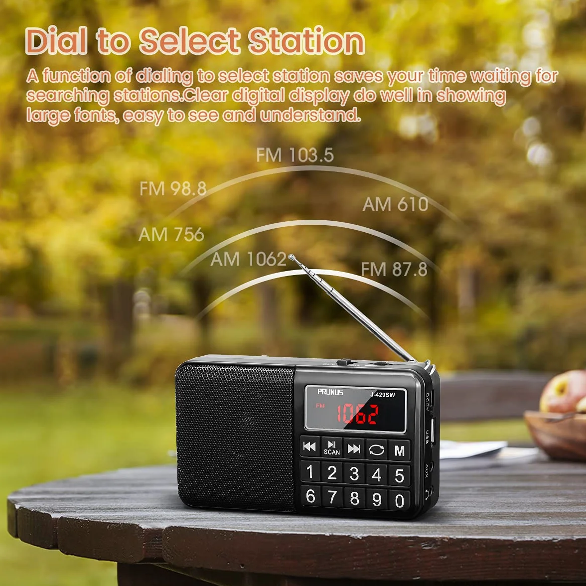 PRUNUS J-429 Radio Portatile FM/AM Ricaricabile con Ampio Display e Supporto USB/AUX/TF Card, Nero