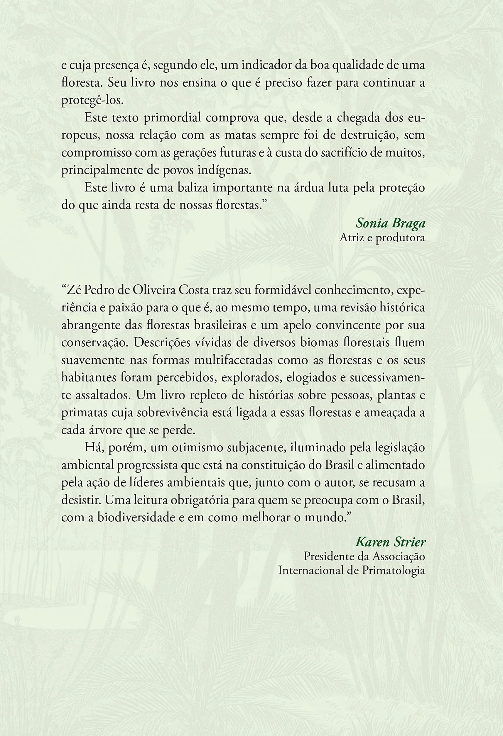 História das florestas brasileiras
