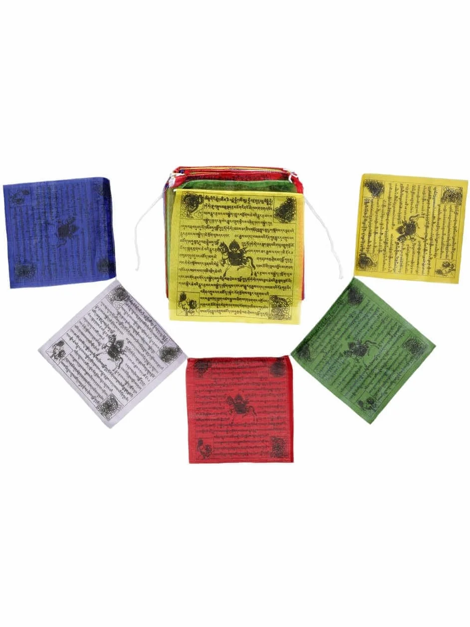 Bandiere di preghiera buddista tibetana 25 bandiere 5 m