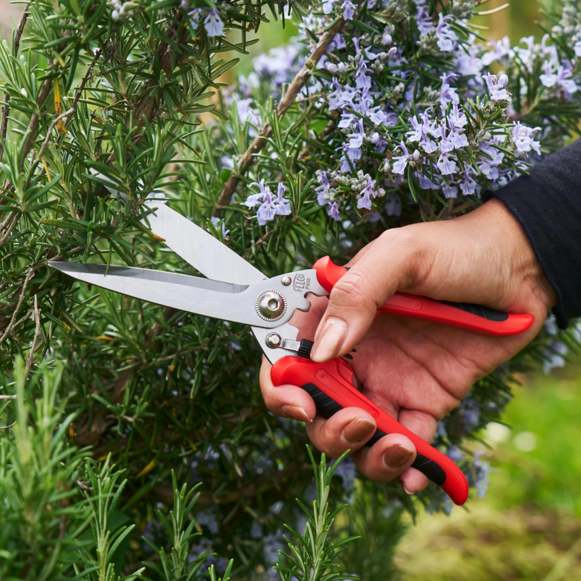 FELCO 456 Forbici Multiuso, Lame Curve in Acciaio Inossidabile, Lama Seghettata per Presa Sicura, Strumento da Taglio Multiuso per Giardino e Casa, Forbici di Precisione Premium