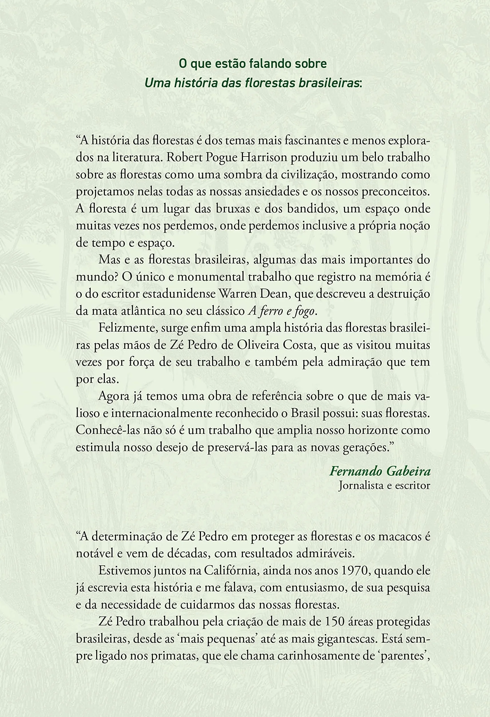 História das florestas brasileiras