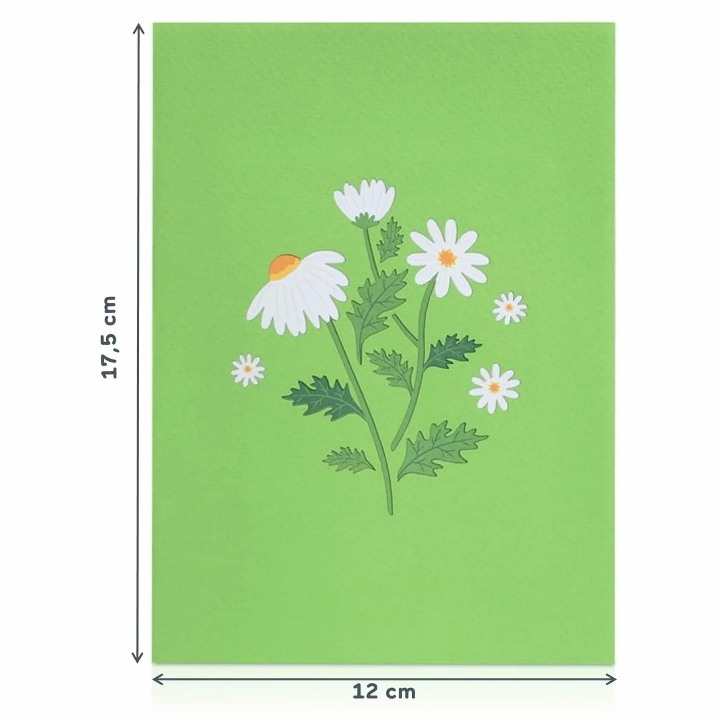 papercrush® Biglietto pop up 3D margherite - Biglietto auguri compleanno donna, battesimo, comunione