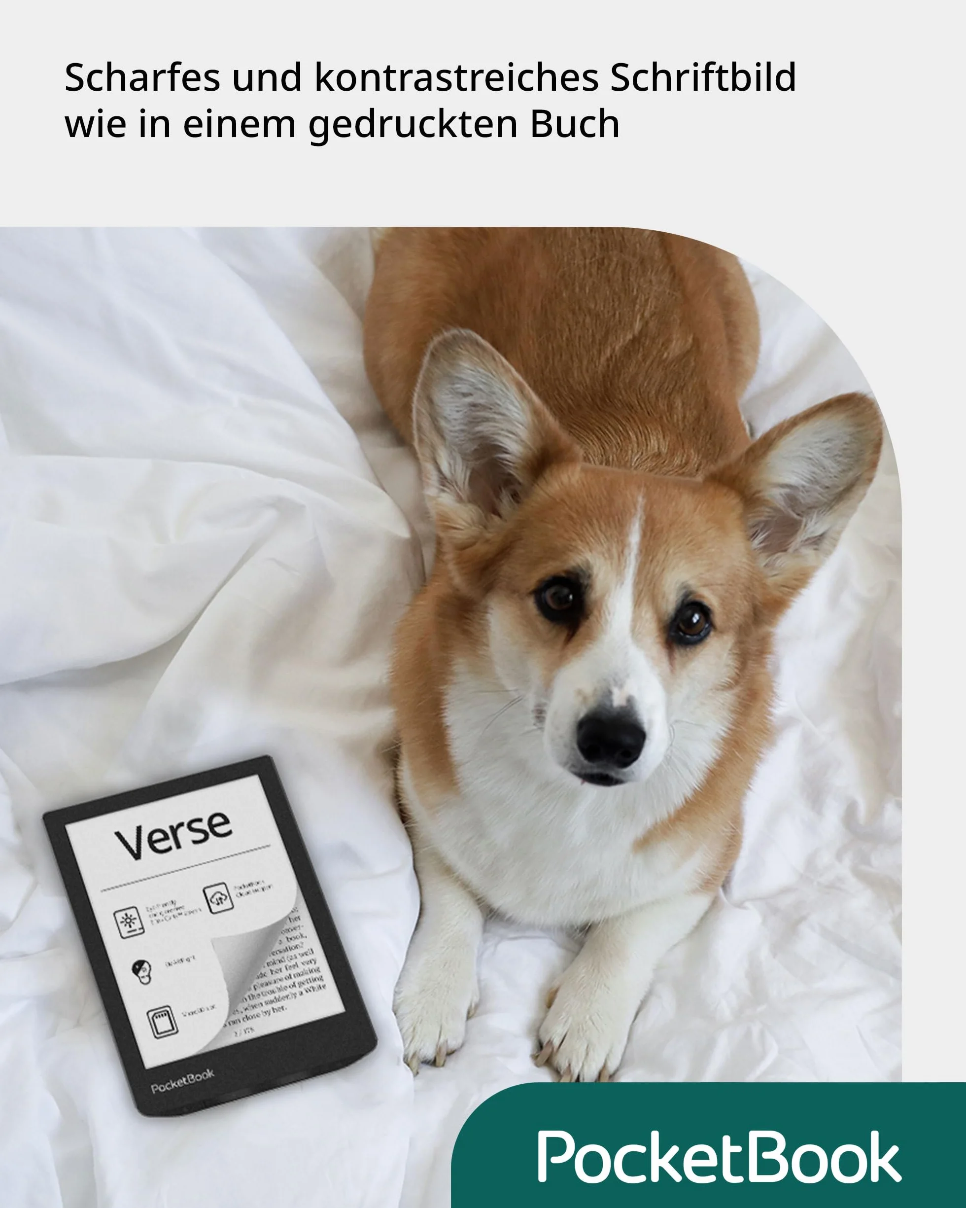 Pocketbook Verse eReader 6 pollici 8 GB E-book