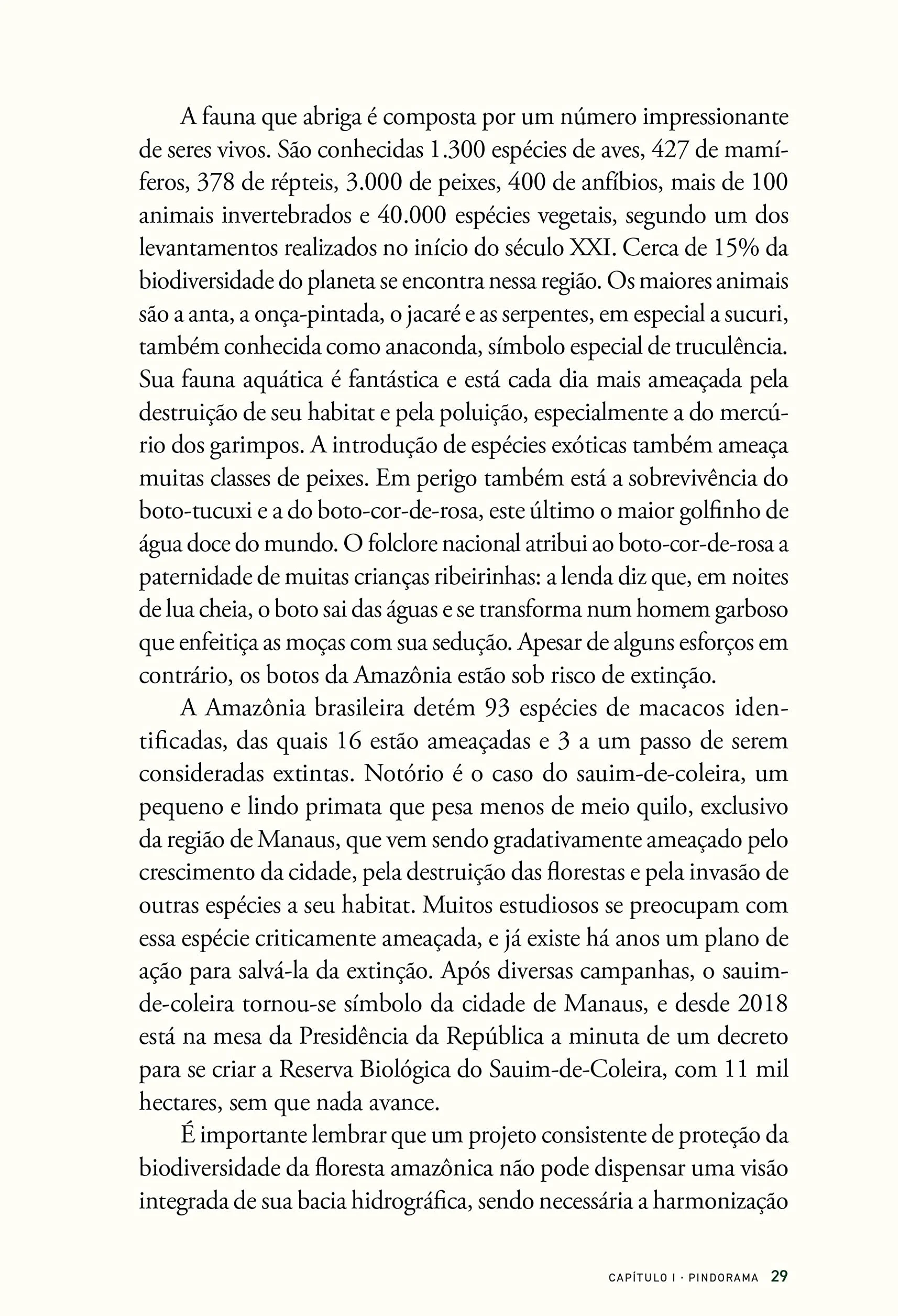 História das florestas brasileiras
