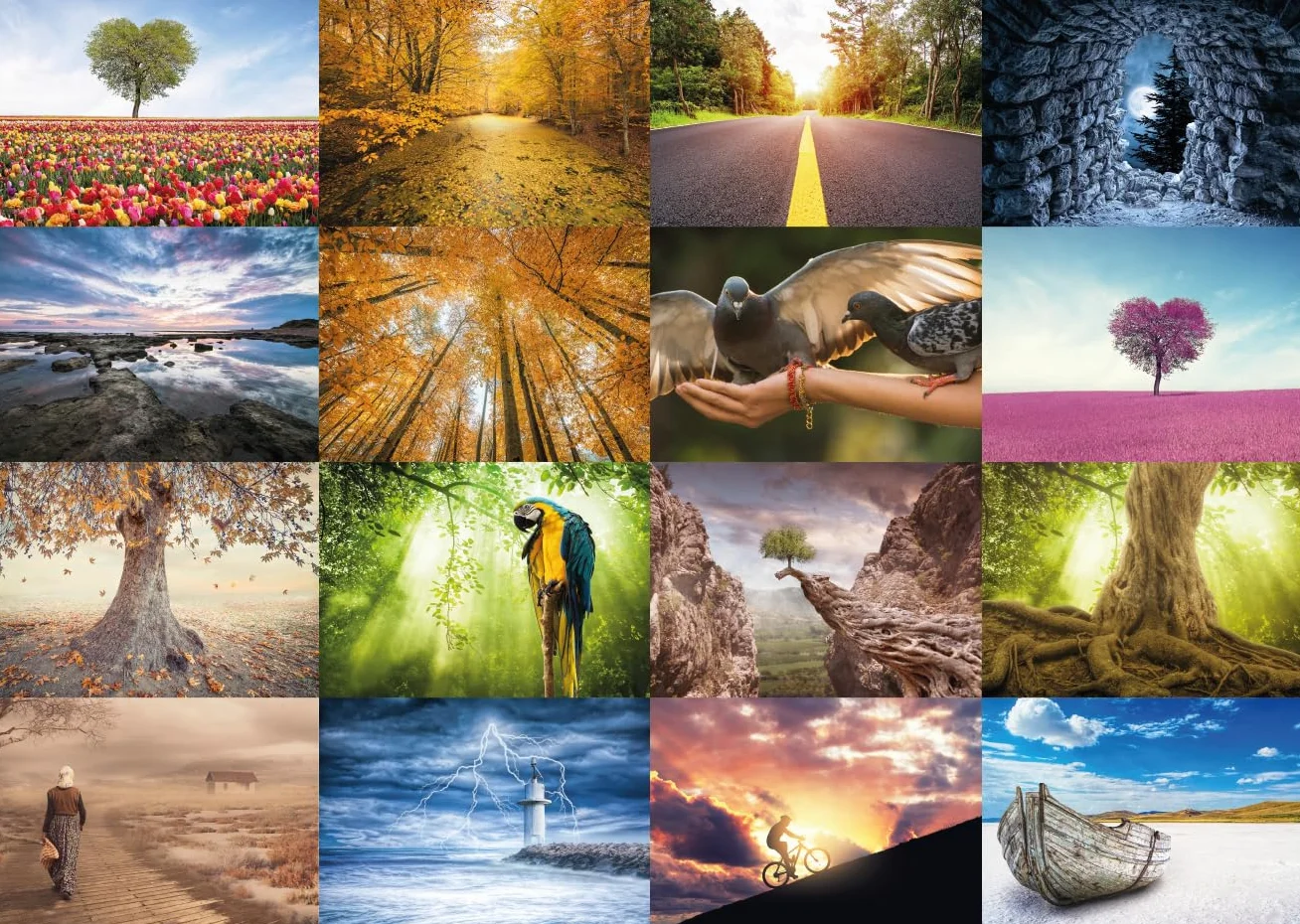 Cartoline Postcrossing Natura Animali Paesaggistica Mix 64 sztuk