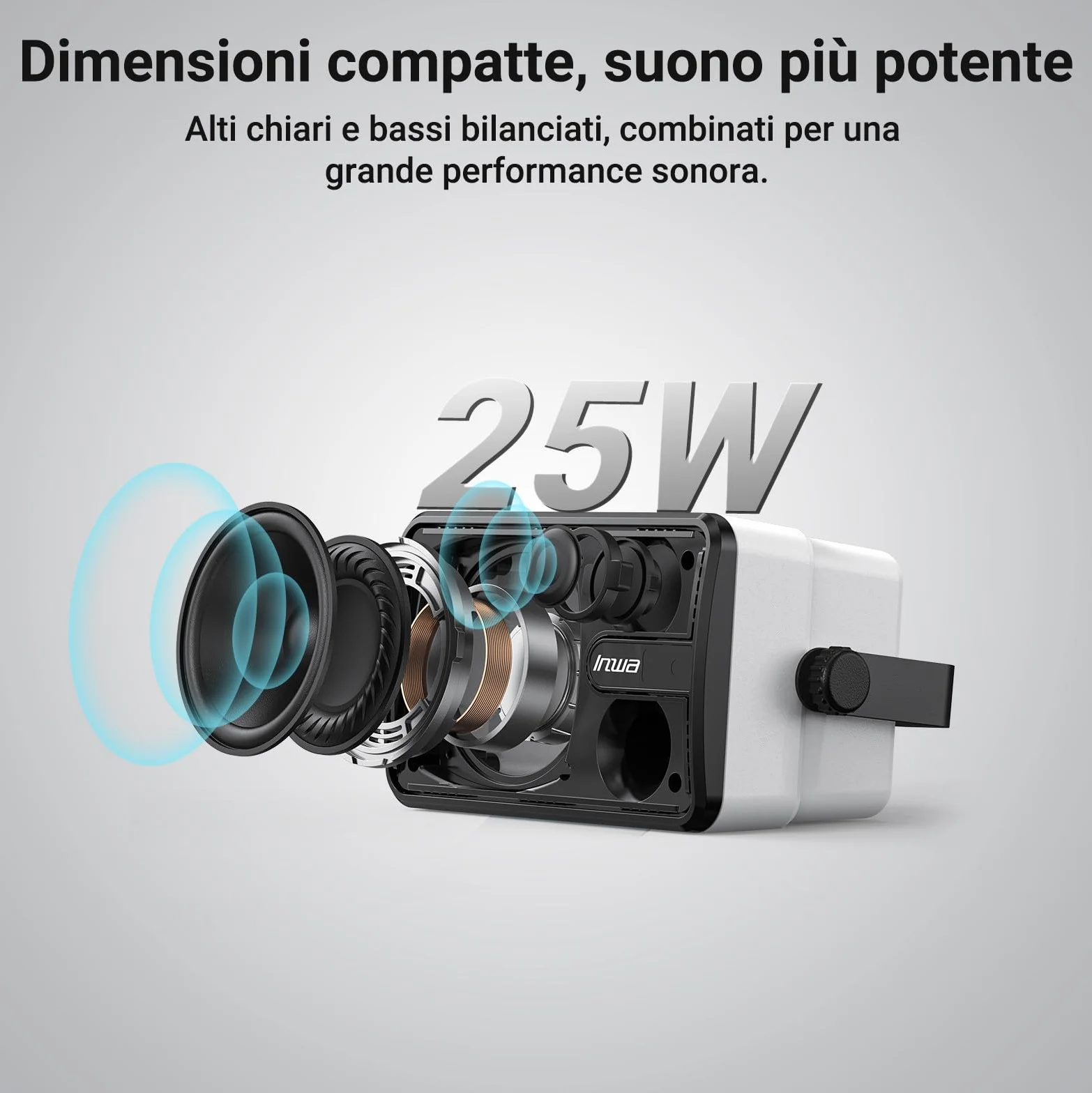 Inwa Cassa Bluetooth Esterni IPX5 Altoparlante Wireless 250W RMS 25W