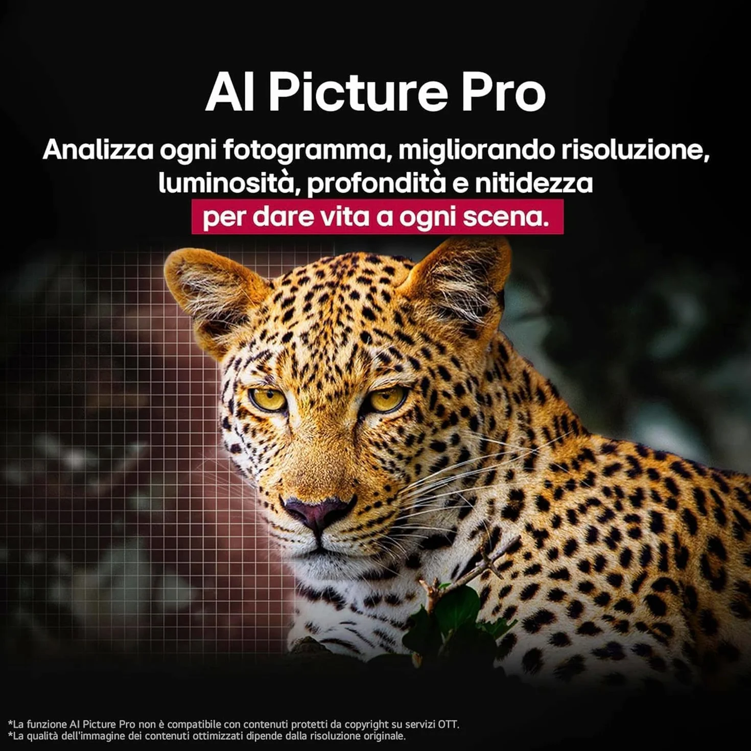 LG OLED evo AI G5 TV 55 pollici Smart TV 4K Base da appoggio inclusa Processore α11 Gen2 Brightness Booster Ultimate webOS con AI Dolby Vision Atmos VRR GSYNC 4K@165Hz OLED55G56LS 2025