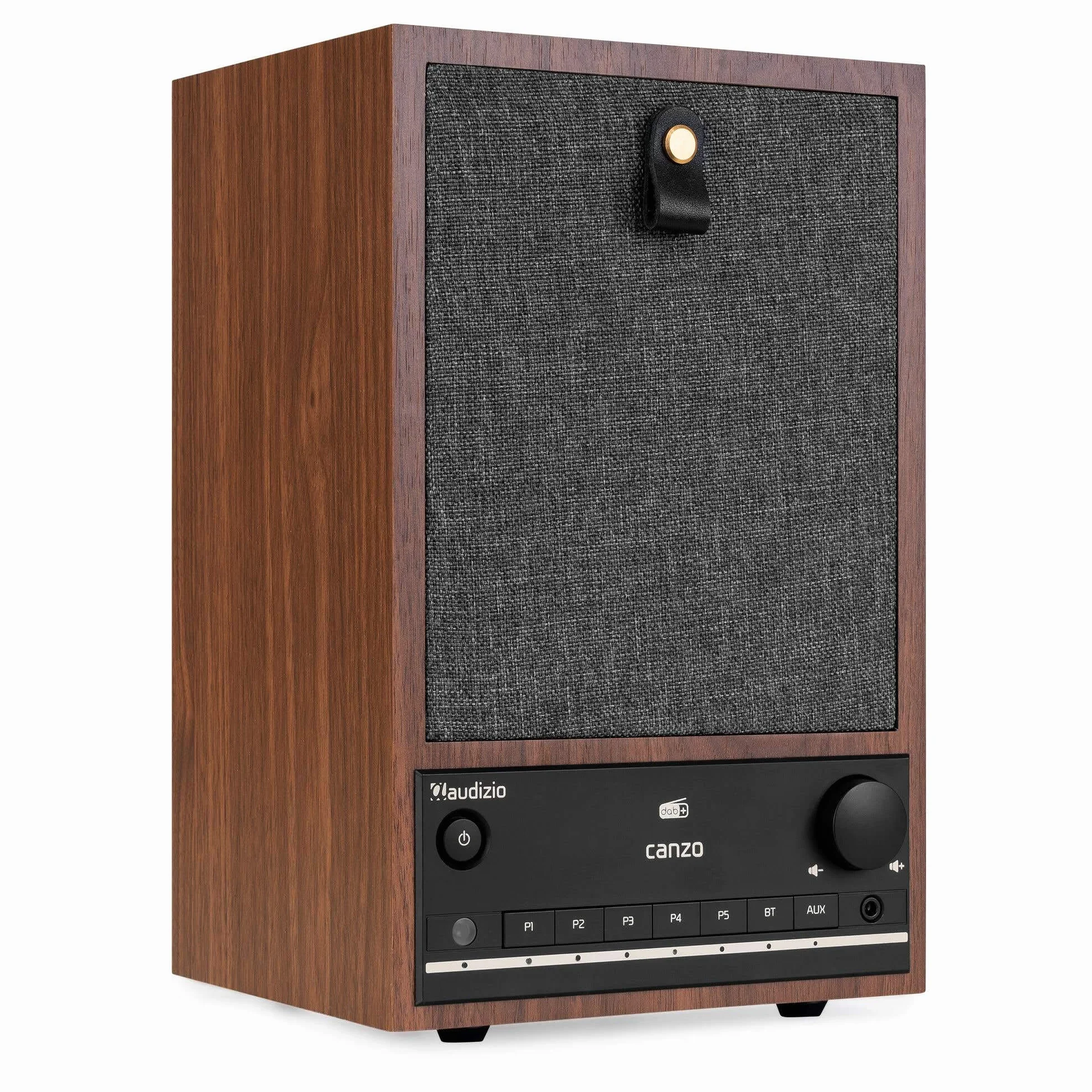 Audizio Canzo Radio DAB Internetradio WLAN Bluetooth 5.3 Digitale Telecomando Cucina Collegamento LAN AUX Line-Out