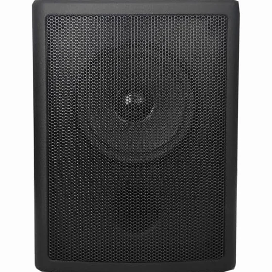 Casse Acustiche da Parete 100V 40W Altoparlanti Filodiffusione Professionale Nero