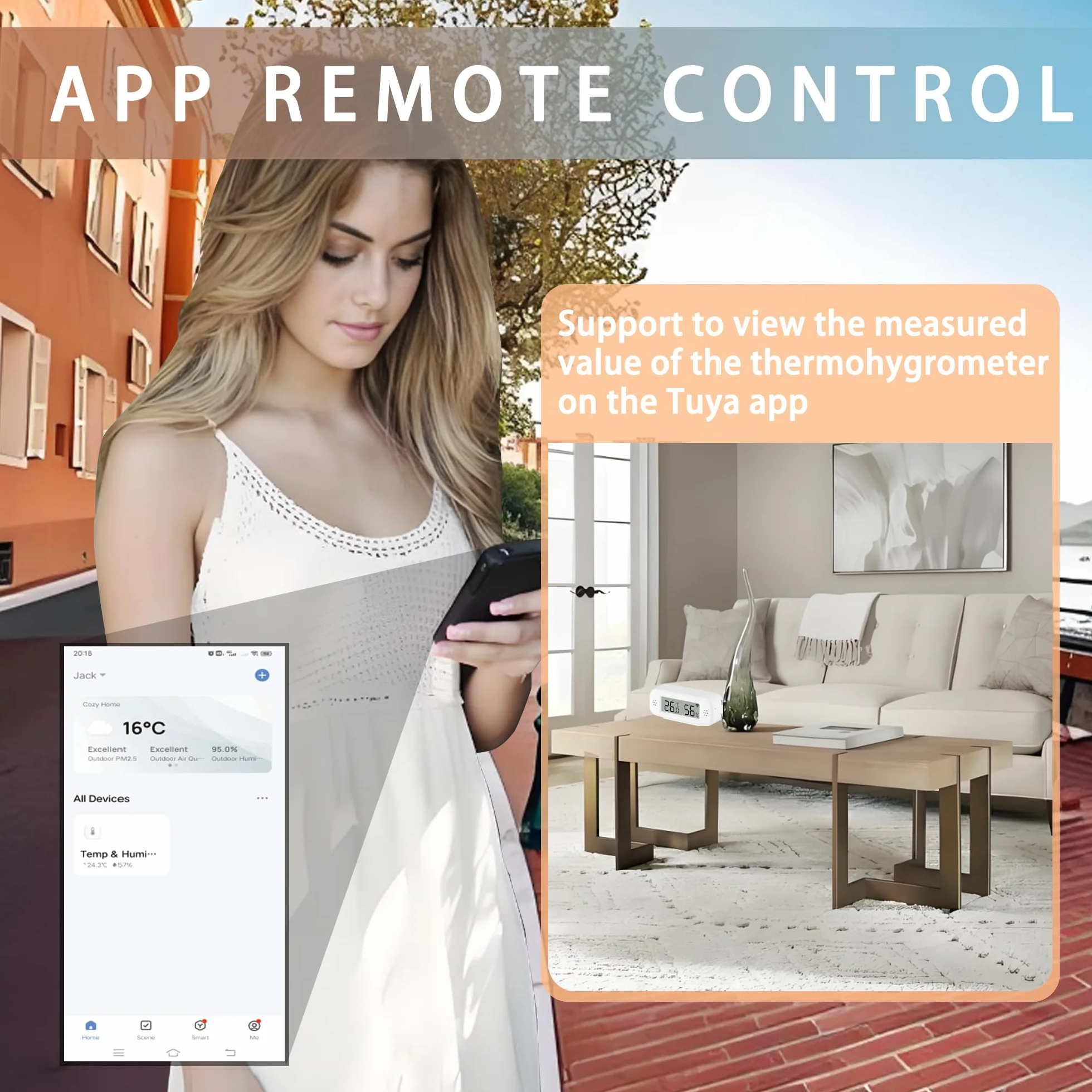Termometro digitale WiFi igrometro sensore temperatura umidità interna con monitoraggio remoto app, compatibile Alexa