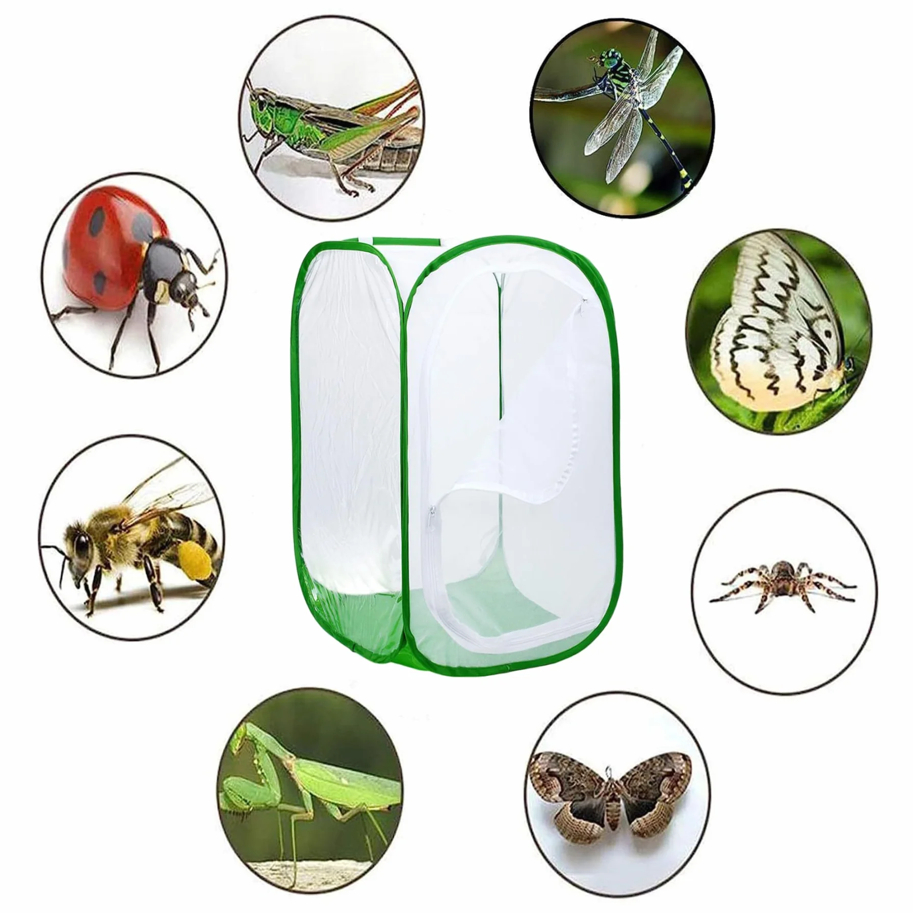 Gabbia per Farfalle con Cerniera, Recinzione a Rete Ultra fine, Habitat Pop-up per Piante
