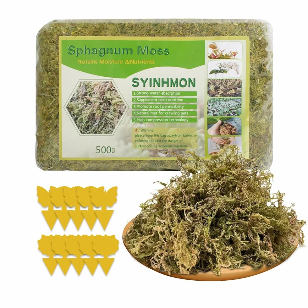 Sfagno per Orchidee 500g Muschio Cileno per Felci a Corno di Cervo, Piantine e Radicazione