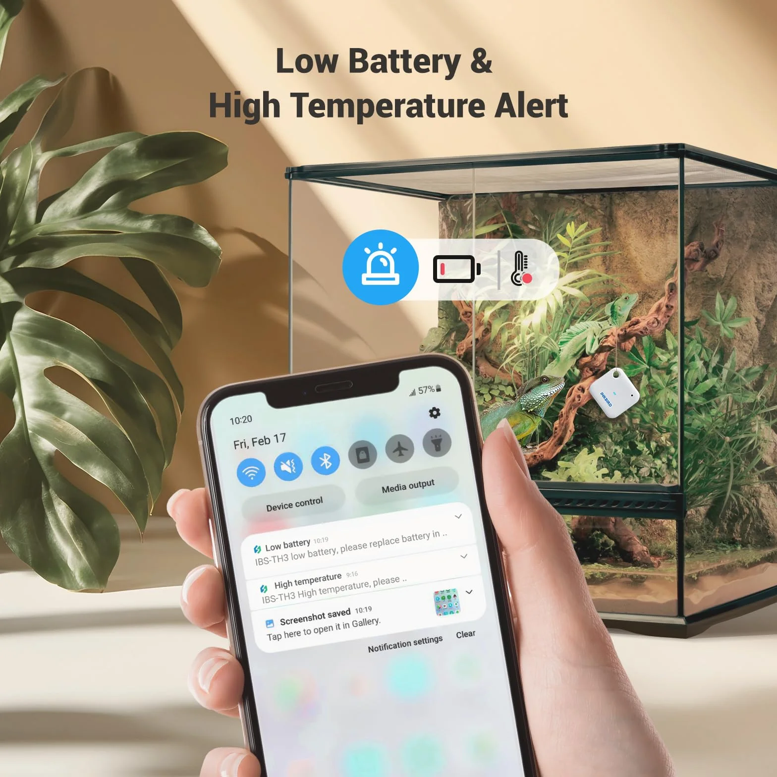 Inkbird Termometro e Igrometro WiFi Sensore Temperatura Umidità Interno App