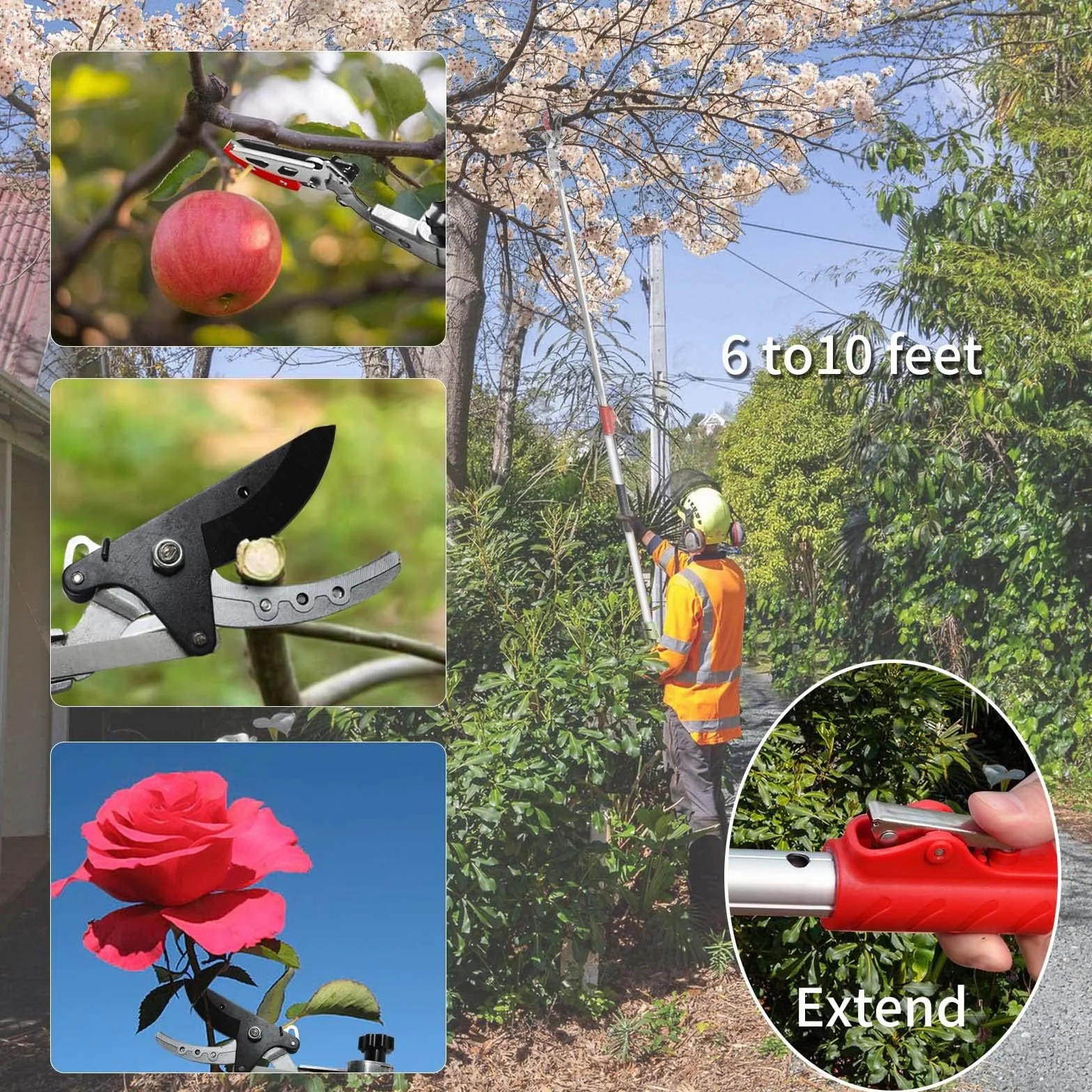 FLORA GUARD Forbici telescopiche 110-166 cm, raccoglifrutta con testa a lama girevole, alluminio