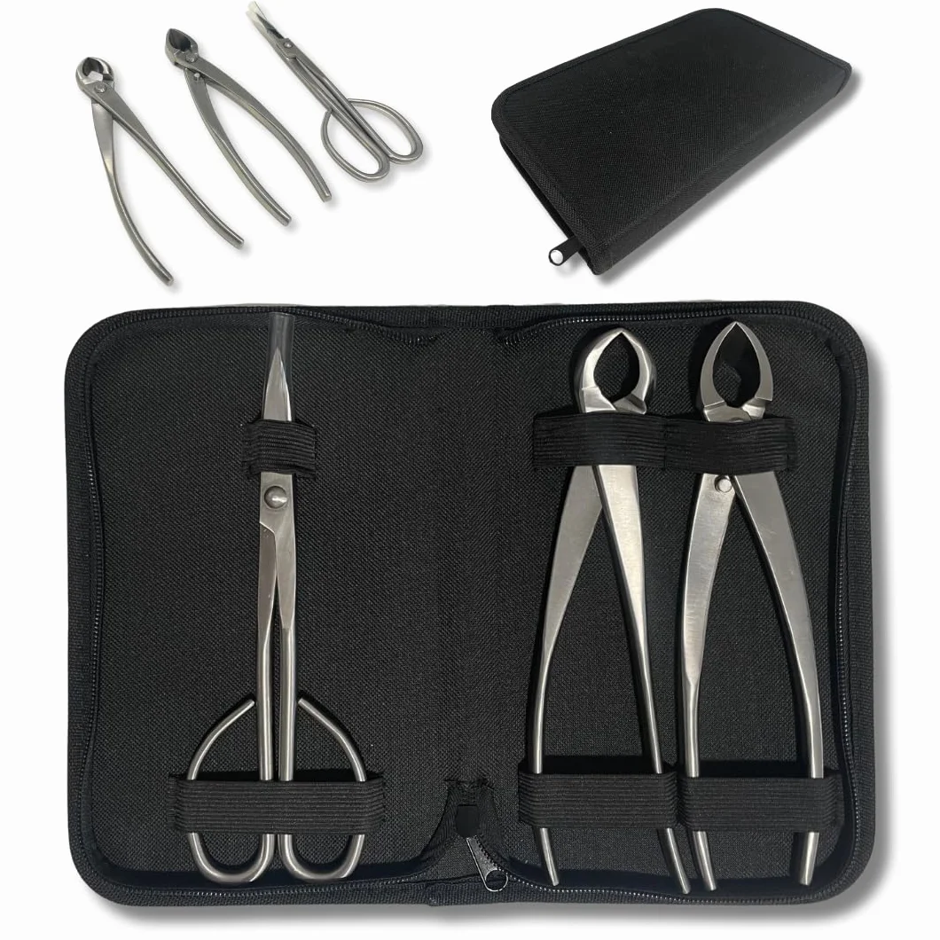 Bonsai Professional - Kit attrezzi per la manutenzione di Bonsai con forbici, potatore concavo e dritto essenziali