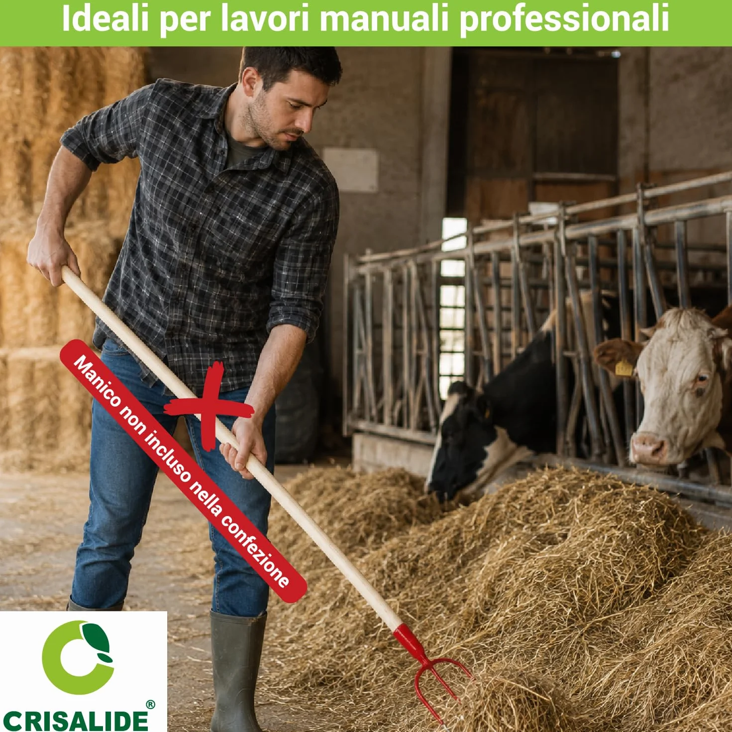 Crisalide® Forca per Fieno a 3 Denti Senza Manico – Forca in Acciaio Forgiato per Paglia, Fieno, Erbacce e Uso Agricolo Professionale