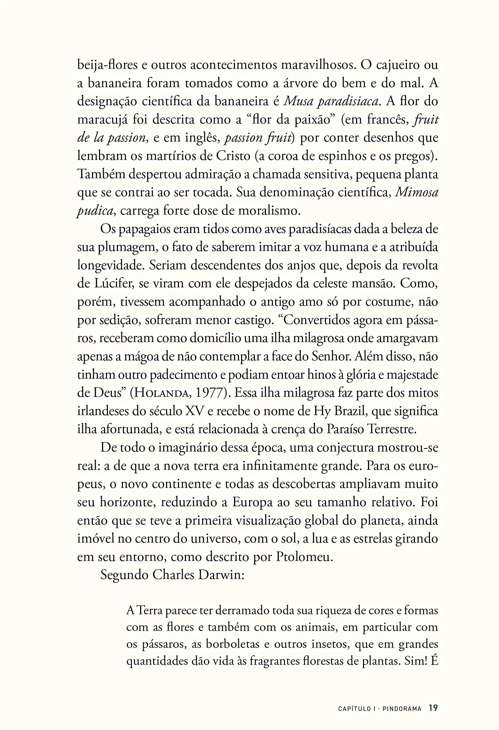 História das florestas brasileiras