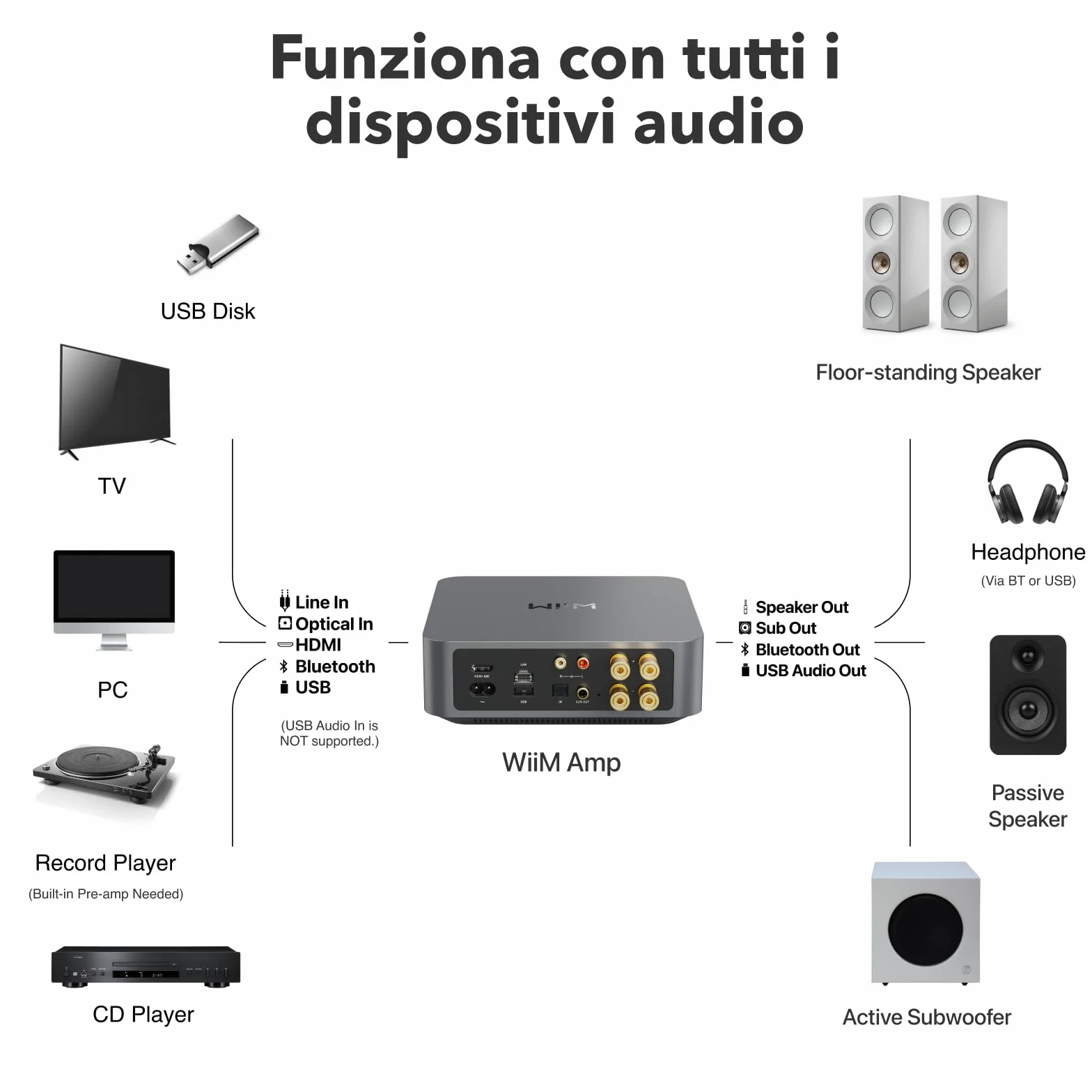 WiiM Amp Amplificatore Streaming Multiroom AirPlay Google Cast Alexa HDMI Controllo Vocale Grigio Spazio