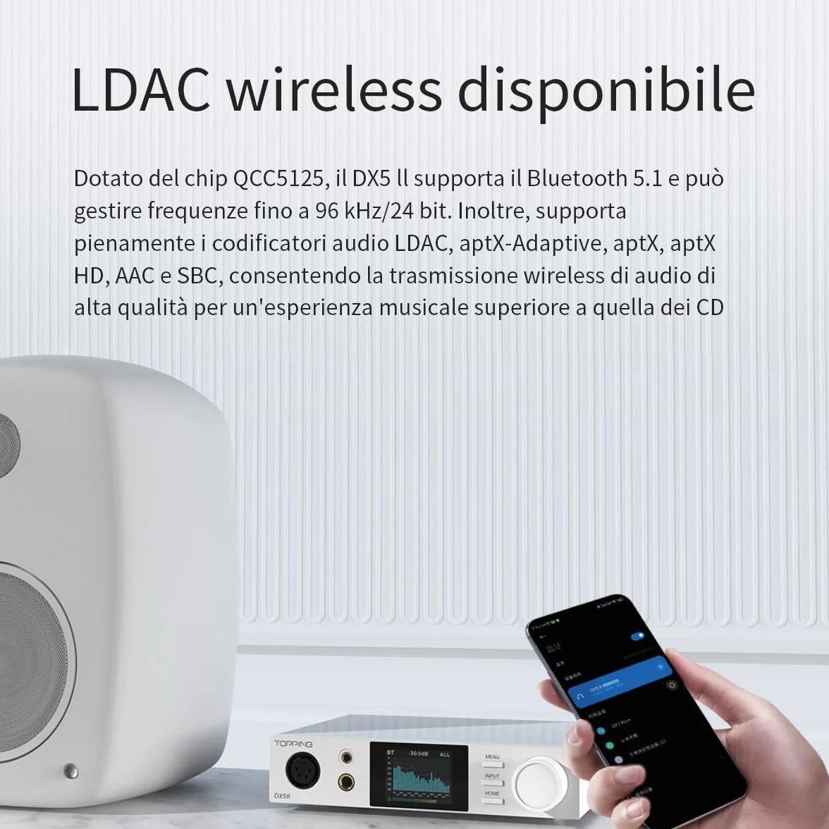Topping DX5 II Amplificatore DAC Bilanciato 7600 mW ES9039Q2M DSD512 768 kHz USB Ottico Coassiale RCA XLR 6,35 mm 4,4 mm Argento