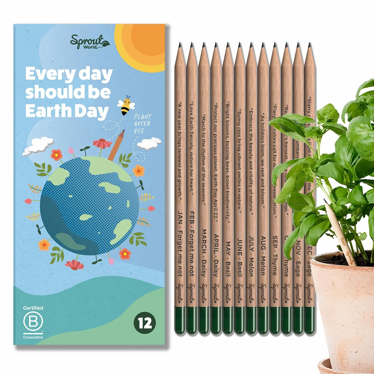 Sprout World Matite Piantabili EVERYDAY EARTH 12 Matite Grafite 6 Semi Fiori Erbe Frutta Incise Pensieri Ispiratori HB