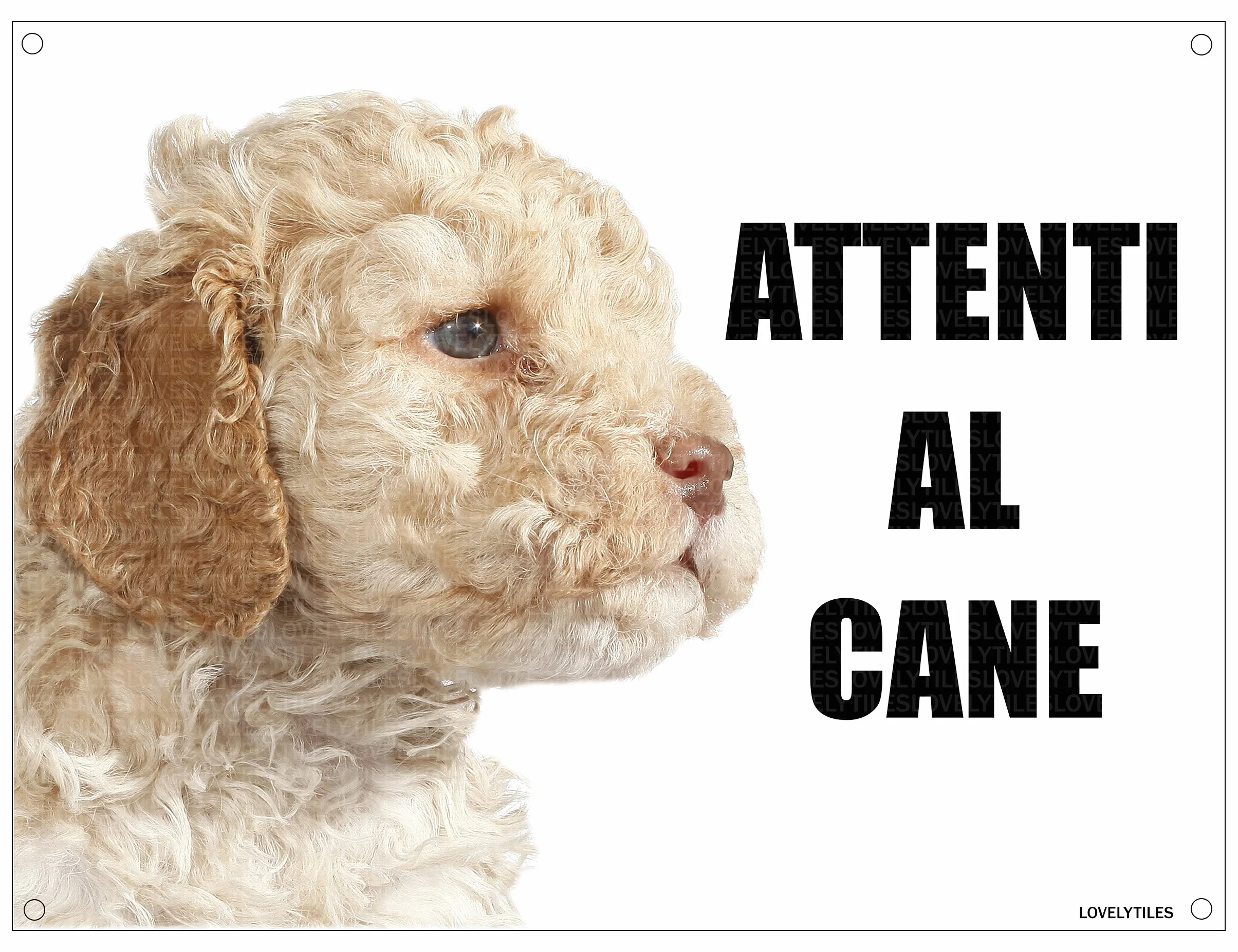 LAGOTTO attenti al cane mod 1 TARGA cartello IN METALLO (20X30)