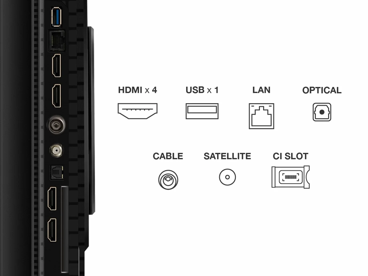 TCL 55T8C TV QLED 4K HDR Ultra HD 55", Google TV, Dolby Vision Atmos, Motion Clarity Pro 144 Hz, FreeSync, Onkyo 2.1