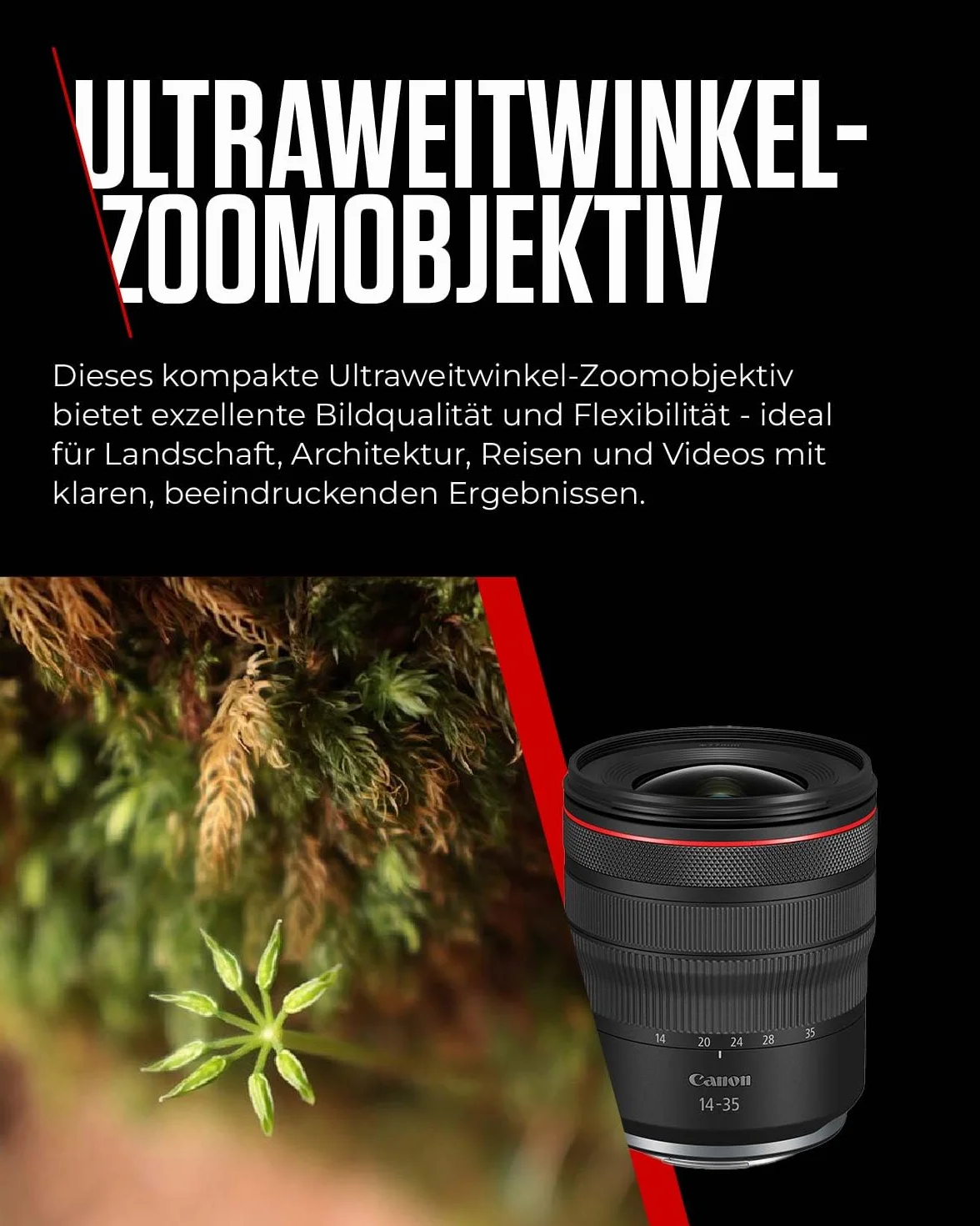 Canon Obiettivo RF 14-35mm F4L IS USM Zoom Ultra-Grandangolare Stabilizzatore Ottico 5 Stop