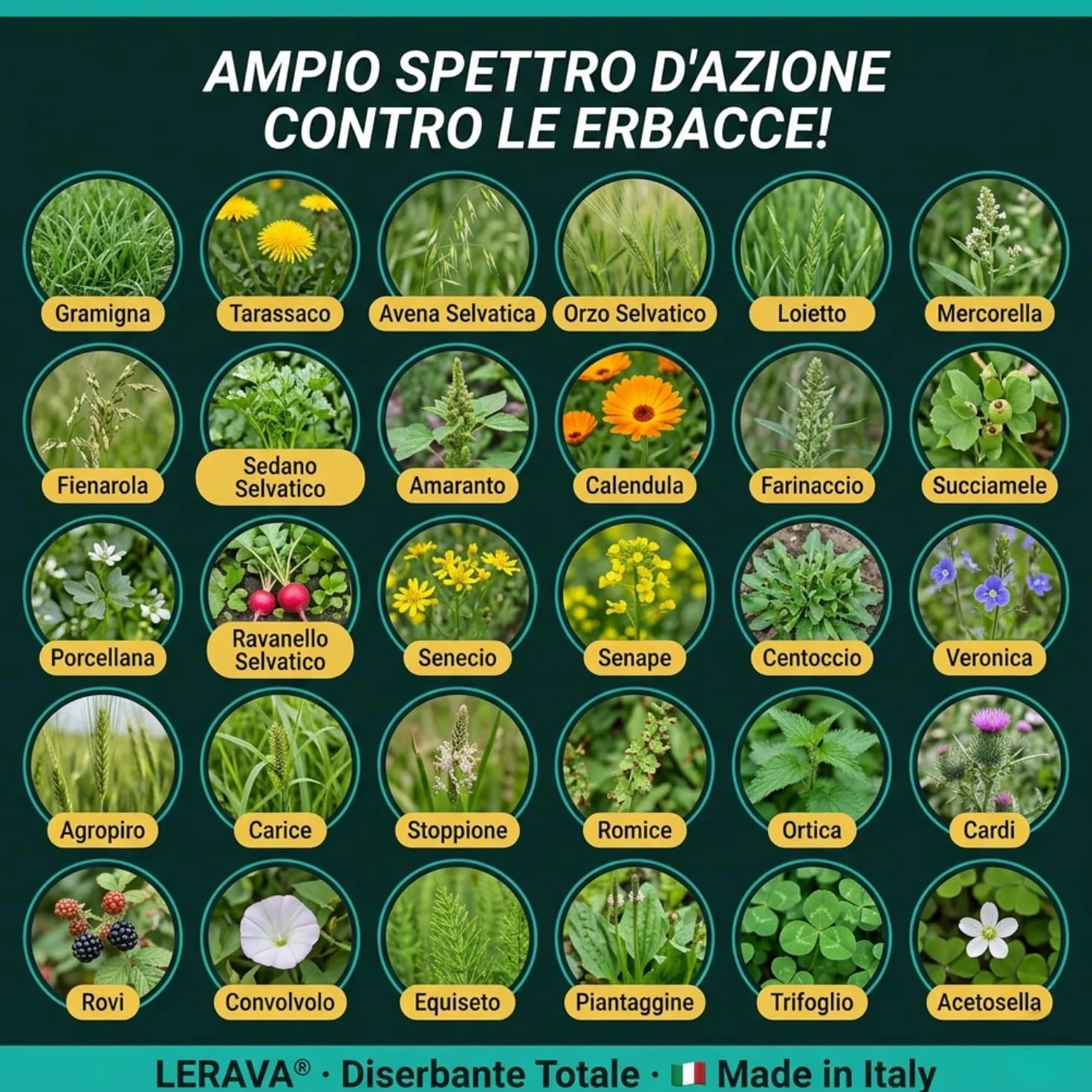 LERAVA® Diserbante Totale Potente (2x500 ml) - Glifosato erbicida contro erbacce