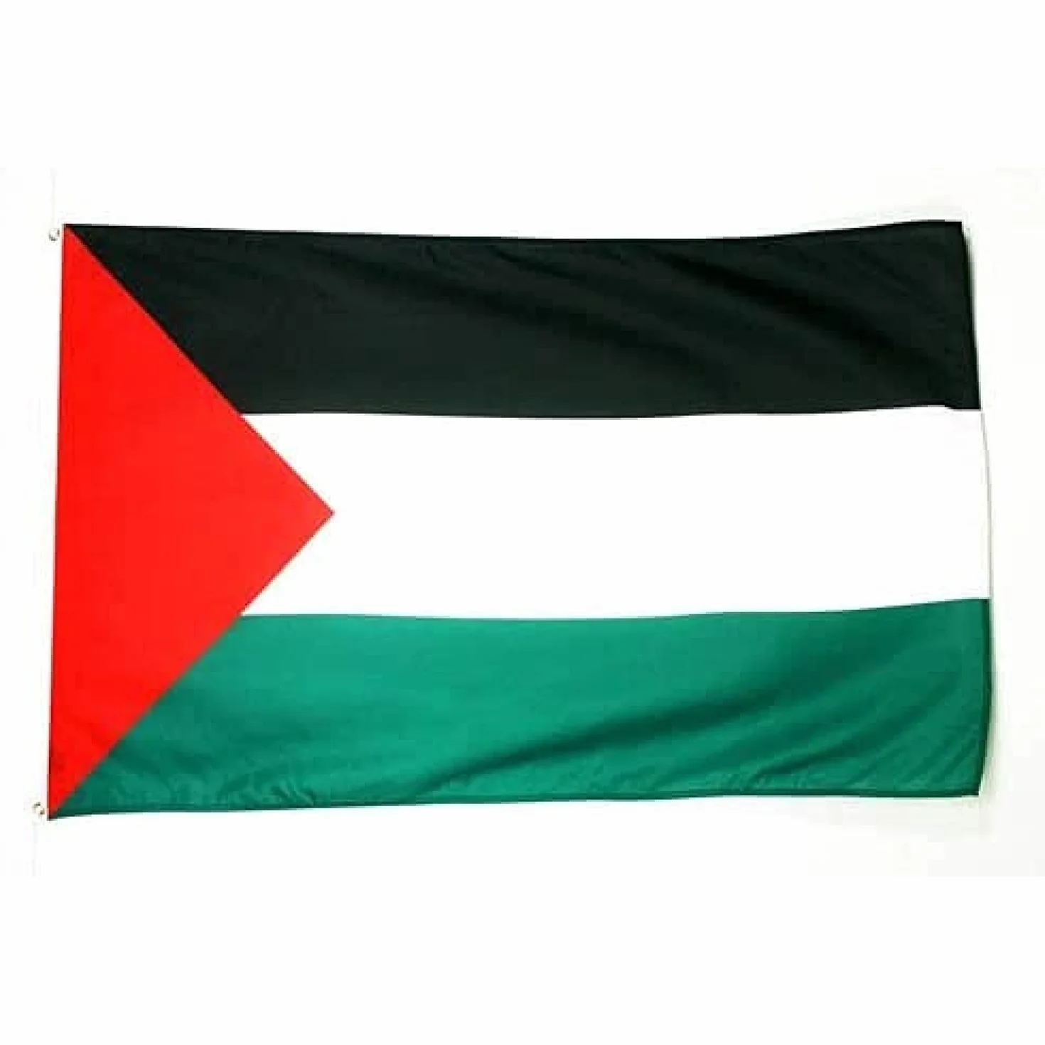 AZ FLAG Bandiera Palestina 150x90cm Poliestere Leggero