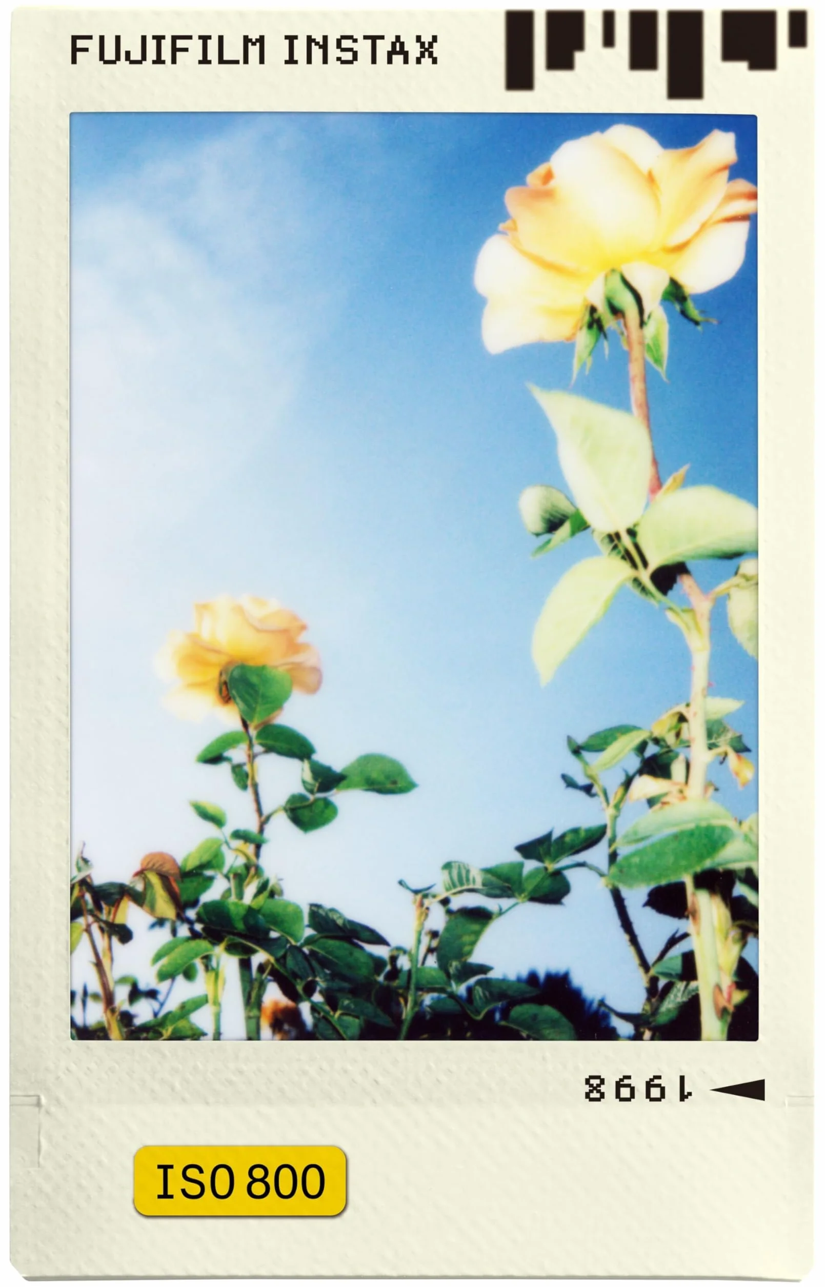 Fujifilm instax mini Film Pellicola Istantanea 46x62 mm 10 shot Photo Slide Border