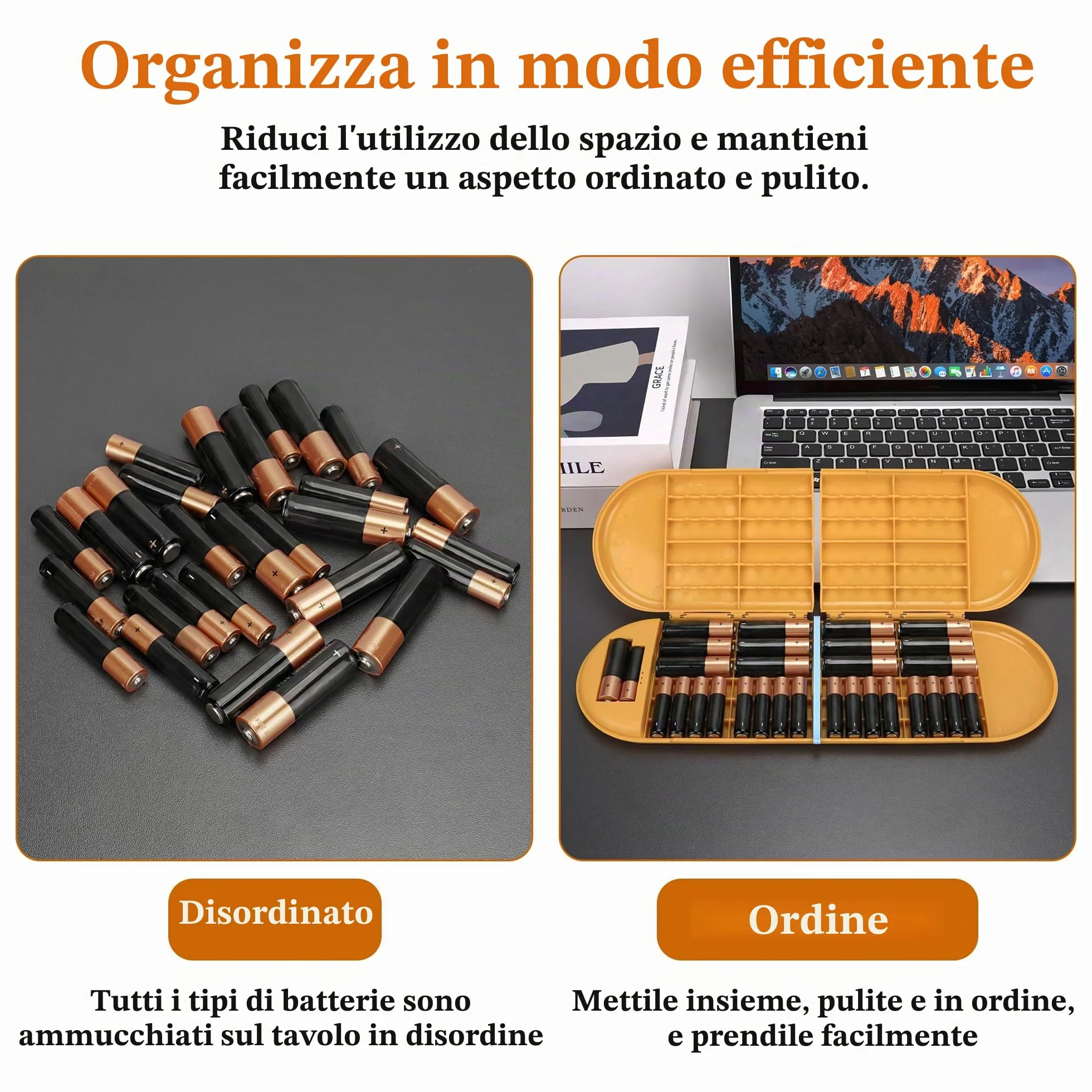 Linkidea Custodia per Batterie con Tester, Organizer Portatile per 12 Batterie AA/AAA, Scatola di Conservazione (Arancione)