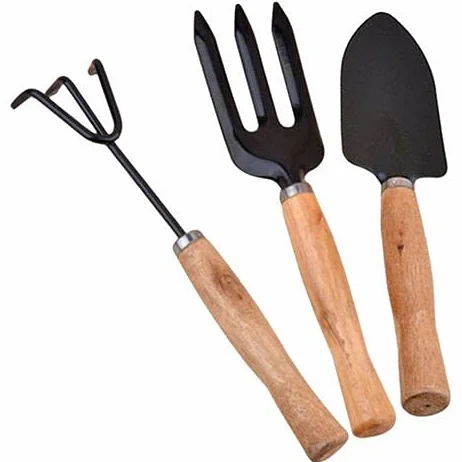 V&AMYA Set 3 Pezzi Utensili da Giardino - Attrezzi per Giardino - Set Giardinaggio 3 Accessori - 2 Rastrelli e 1 Paletta