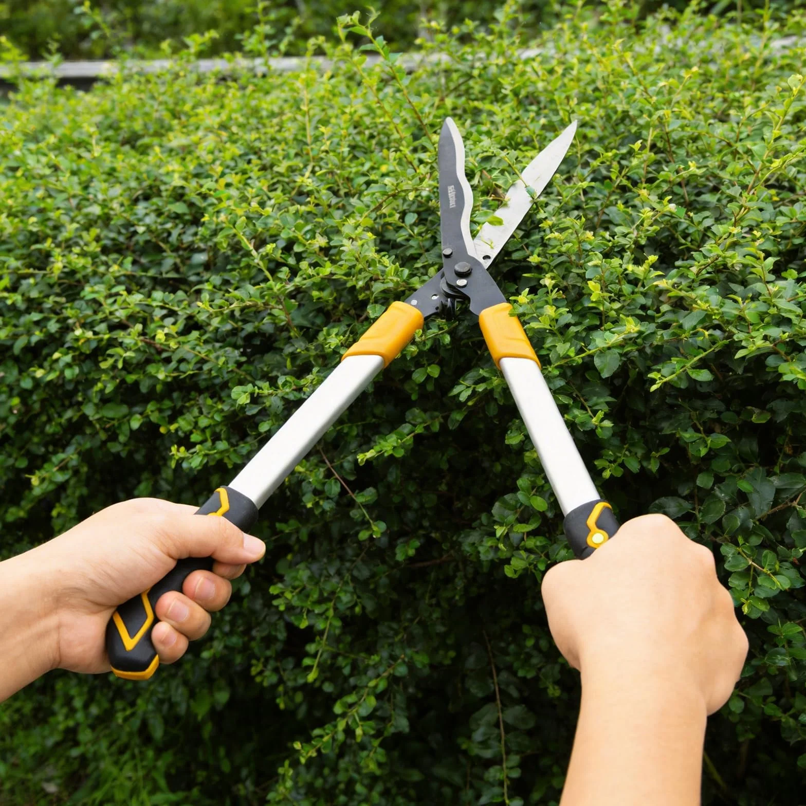 Tagliasiepi 78 cm, cesoie da giardino con sega a mano da 21 cm, cesoie professionali manualmente con design a testa angolata di 20°