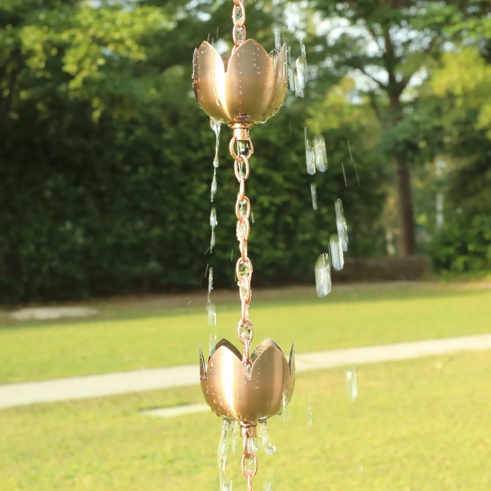 Rame Catena per Grondaie Set 1,6m 8 Tazze Oro Rosa