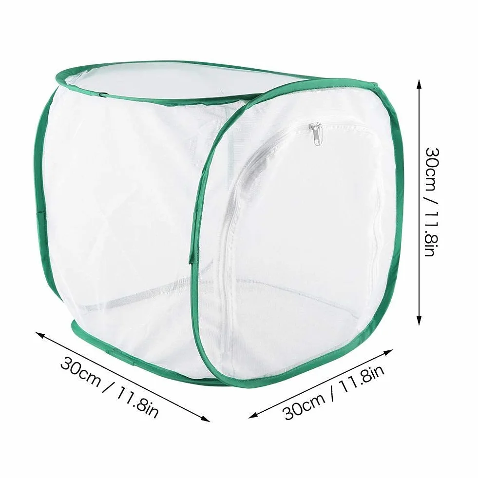 Gabbia pieghevole per farfalle 30x30x30 cm Habitat insetti rete cerniera