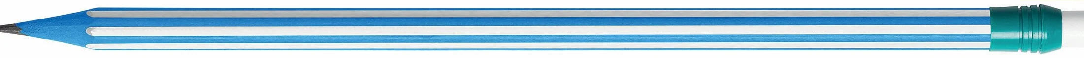 BIC Evolution Stripes 12 matite HB media senza legno infrangibile