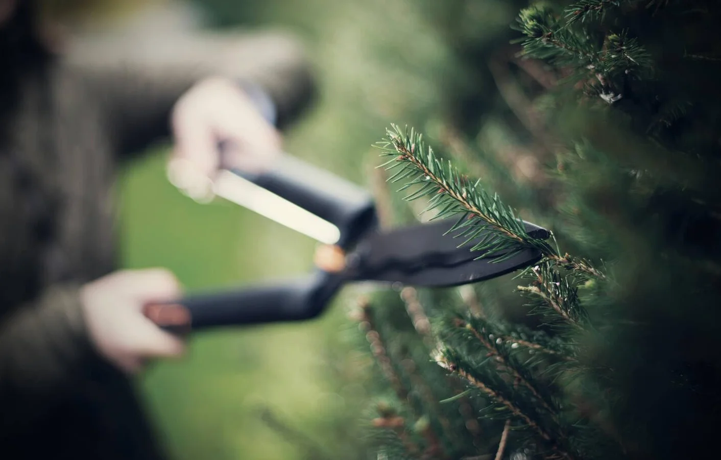 Fiskars Nożyce do żywopłotu SingleStep, ostrza faliste ze stali, 58 cm, HS22