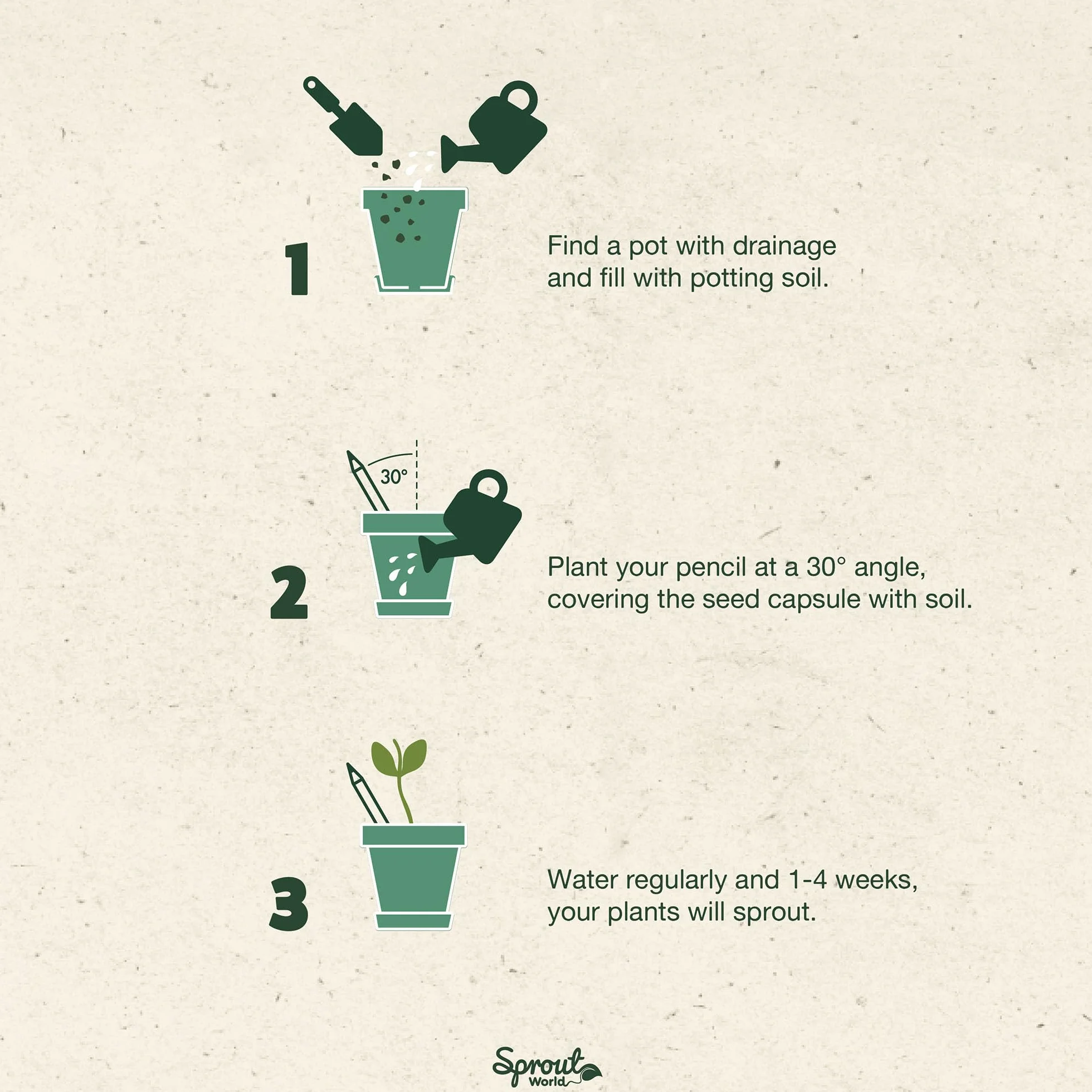 Sprout World Matite Piantabili EVERYDAY EARTH 12 Matite Grafite 6 Semi Fiori Erbe Frutta Incise Pensieri Ispiratori HB
