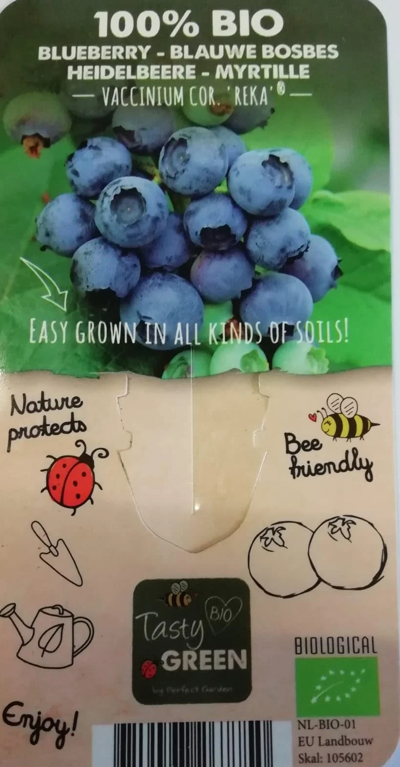 PIANTA DI MIRTILLO GIGANTE AMERICANO VAR. " REKA®" 100% BIOLOGICA (3 piante)