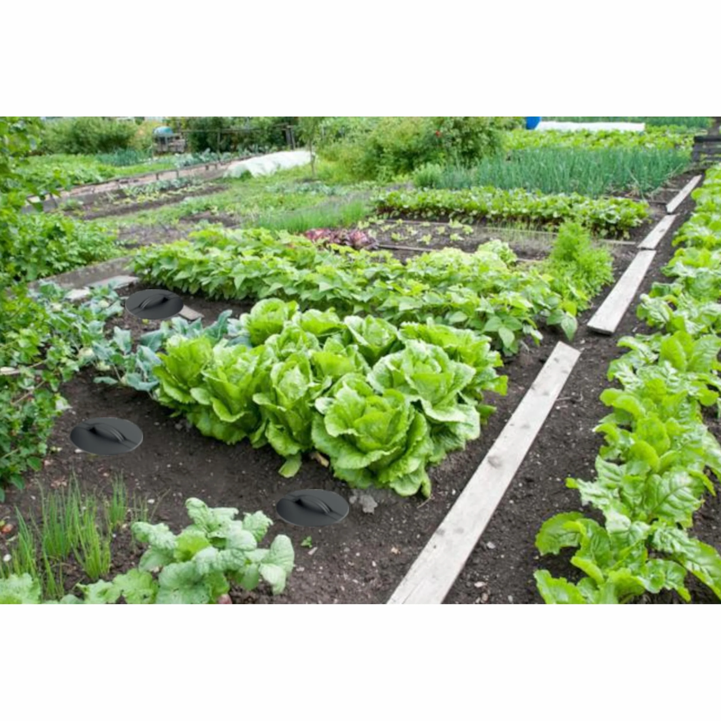 Secchio per compostaggio da giardino 11 L antracite plastica altezza 53 cm modulare