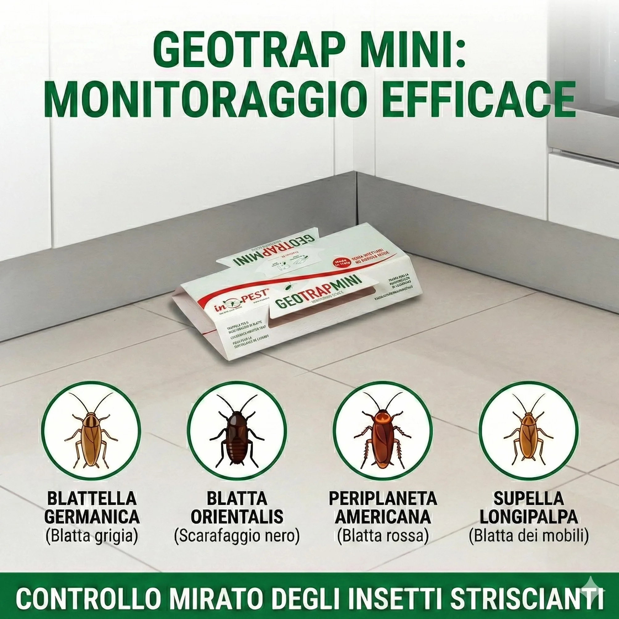 Geotrap – Trappole per Blatte da Interno - 20 Pezzi- Cartoncino Adesivo alla Liquirizia per Insetti Striscianti – Trappole Scarafaggi e Blatte con Gel Rosso Aromatizzato – Uso Interno