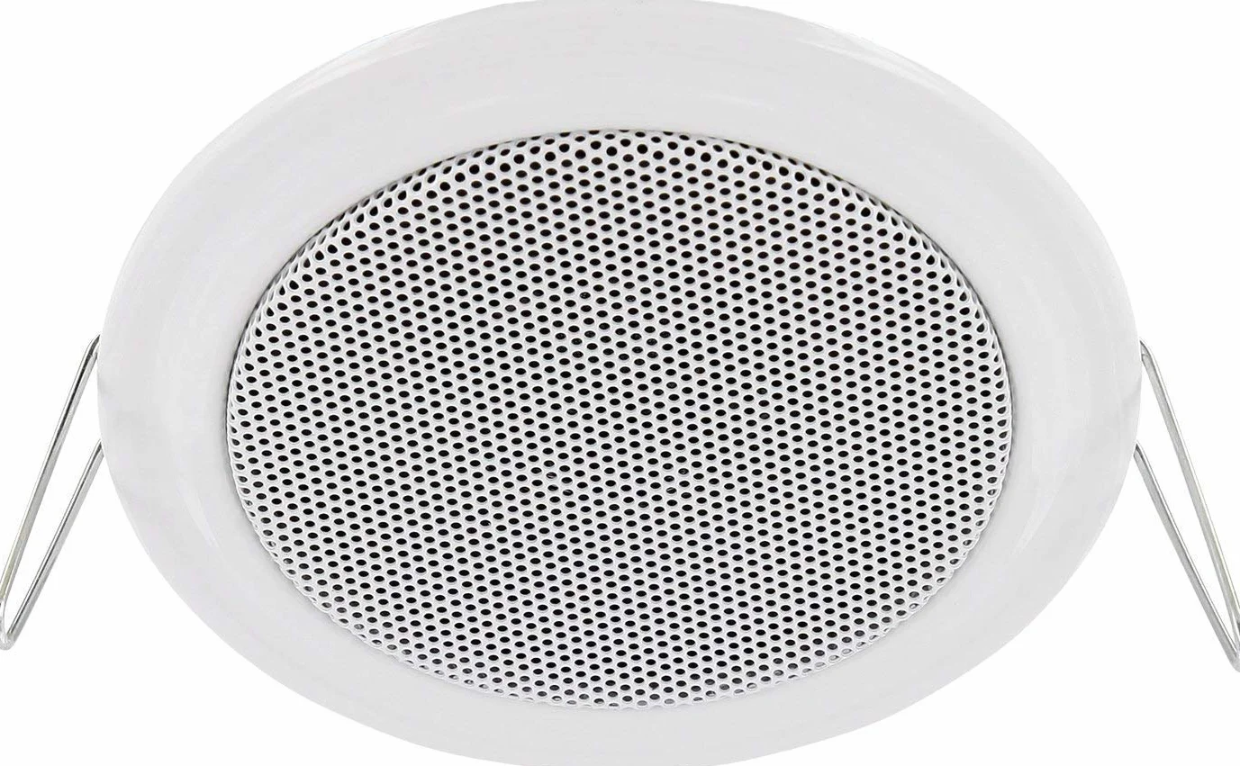 Altoparlante integrato in metallo 11W RMS 45W musicale Lunivers