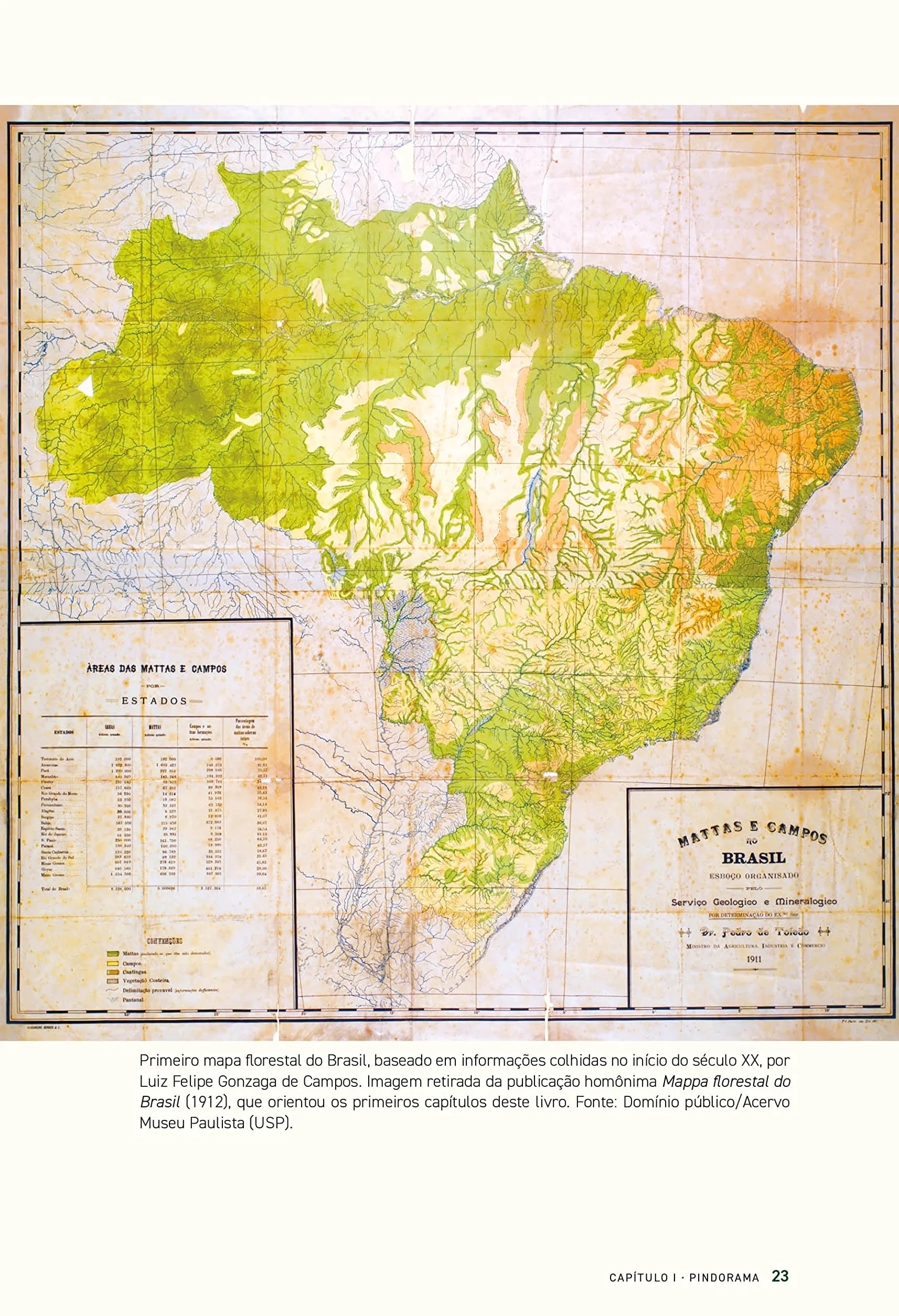 História das florestas brasileiras