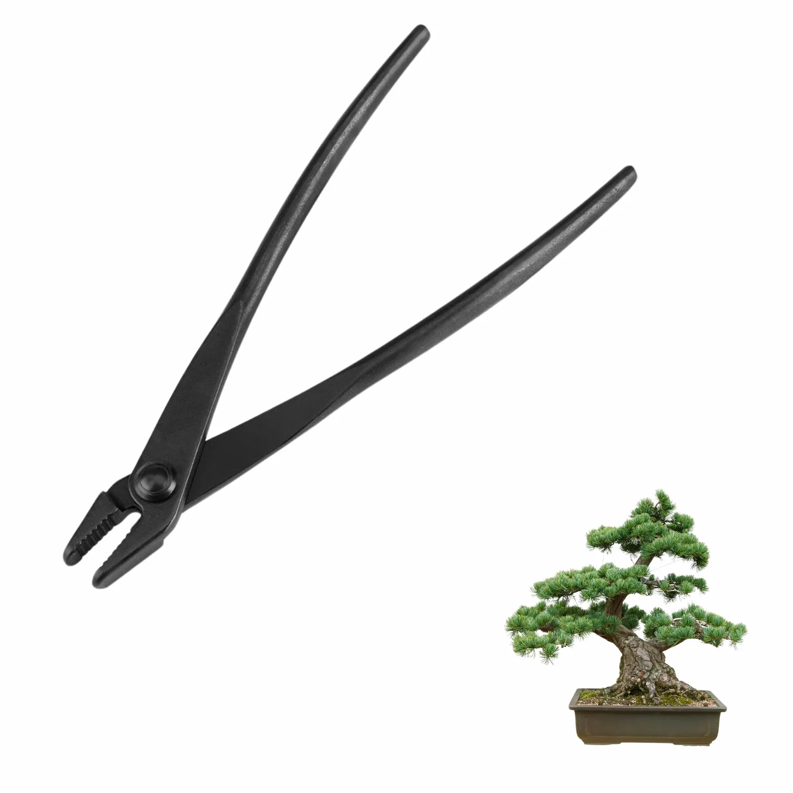 DEWIN Pinza Concava per Bonsai, Attrezzi in Lega di Acciaio Al Manganese con Estremità Arrotondata per Piegare Il Filo Intorno Ai Rami, Giardinaggio